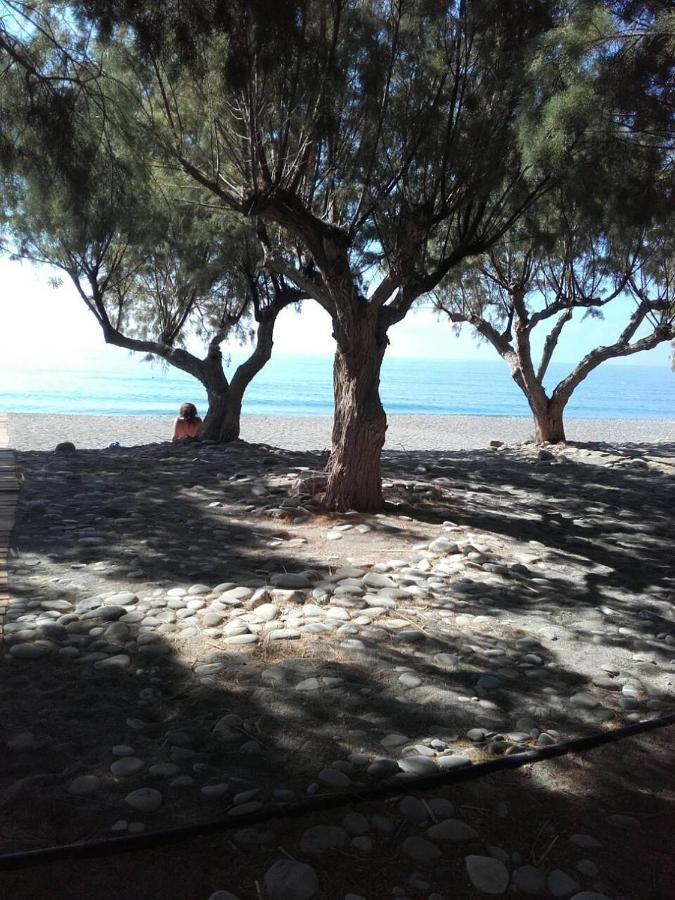 Pericles Traditional Cretan Home Stavrokhorion エクステリア 写真