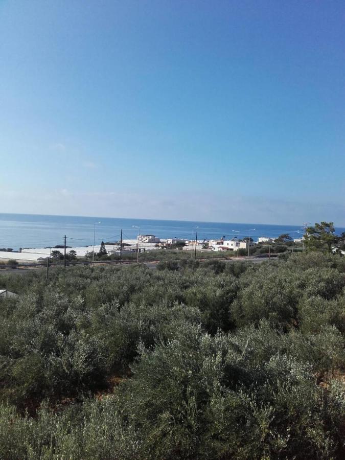 Pericles Traditional Cretan Home Stavrokhorion エクステリア 写真