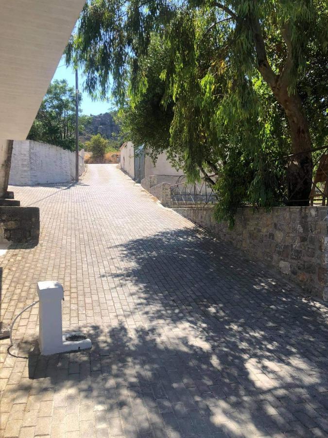 Pericles Traditional Cretan Home Stavrokhorion エクステリア 写真