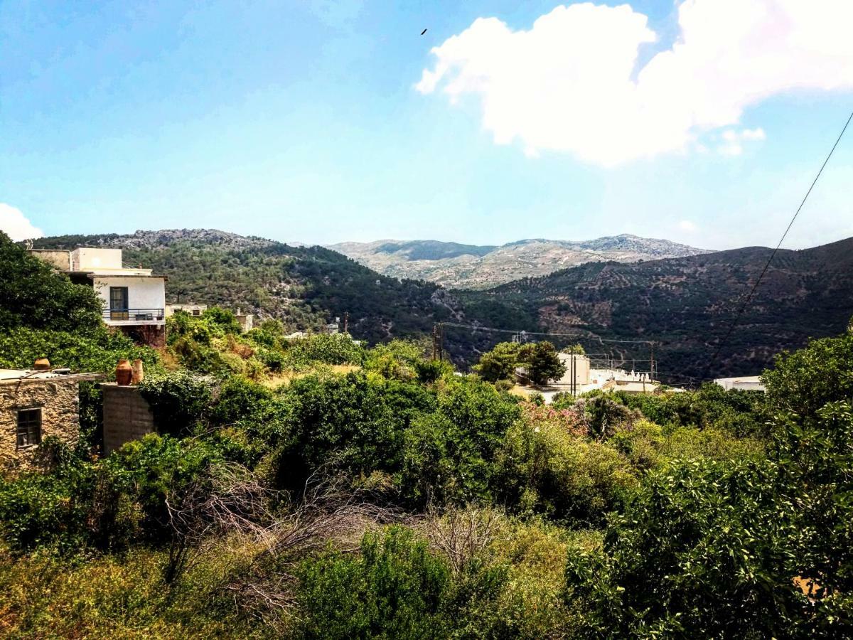 Pericles Traditional Cretan Home Stavrokhorion エクステリア 写真